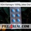 5Gm Kamagra 100Mg Oral Jelly viagra3